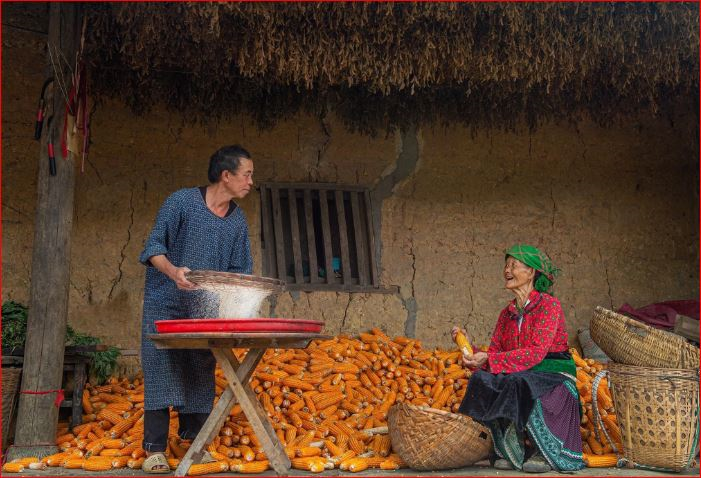 Sức sống của người Mông